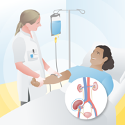 LUMC geeft als eerste in Europa geherprogrammeerde stamcellen aan patiënten met donornier